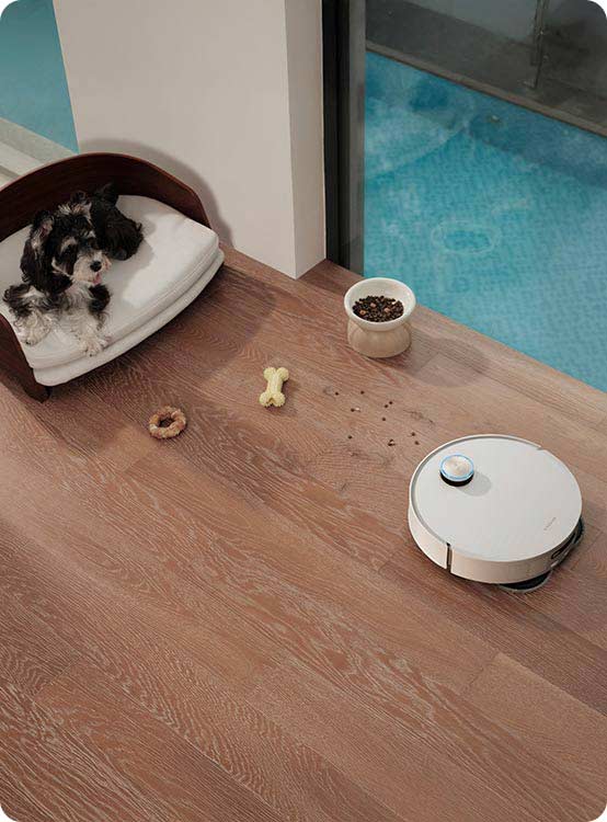 Dreame L50 Pro Ultra Pets